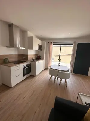 Cuisine ou kitchenette dans l'établissement Appartement LYS aéroport, Eurexpo, Groupama stadium, Arena LDLC