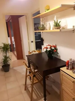 Cuisine ou kitchenette dans l'établissement Appartement en Rez de jardin climatisée 2 pièces-cuisine avec terrasse et jardin