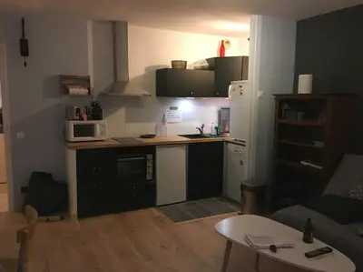 Cuisine ou kitchenette dans l'établissement Appartement en Rez de jardin climatisée 2 pièces-cuisine avec terrasse et jardin