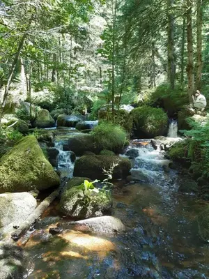 Paysage naturel près de l'appartement