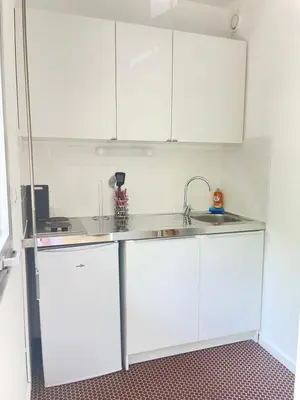 Cuisine ou kitchenette dans l'établissement Charmant Studio Tete dor lyon
