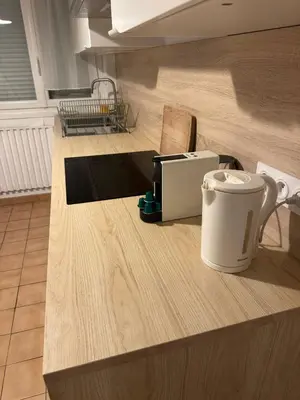 Cuisine ou kitchenette dans l'établissement Le Zola parking - Groupama stadium-LDLC Arena-Eurexpo