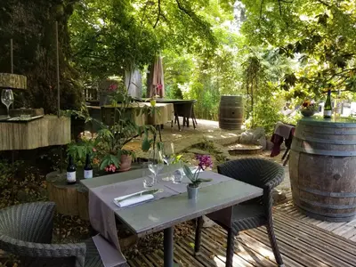 Jardin de l'établissement Les chambres de l'Alouette