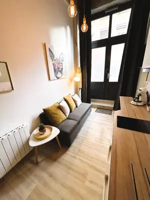 Coin salon dans l'établissement Appartement Canut Lyon Croix-Rousse
