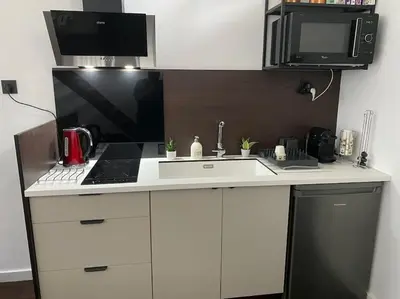 Cuisine ou kitchenette dans l'établissement Appart dans villa EUREXPO LDLC ARENA GROUPAMA STADIUM