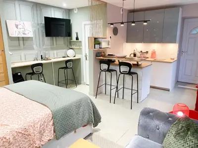 Cuisine ou kitchenette dans l'établissement Studio chic et romantique Lyon