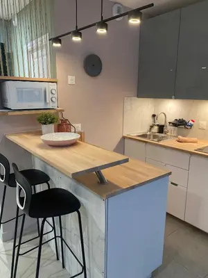 Cuisine ou kitchenette dans l'établissement Studio chic et romantique Lyon