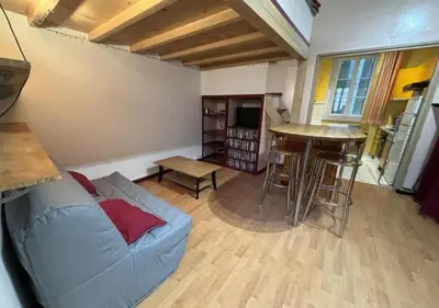 Coin salon dans l'établissement Appartement au centre de Tarare