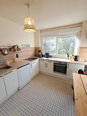 Cuisine ou kitchenette dans l'établissement Appartement T4 Lyon 9