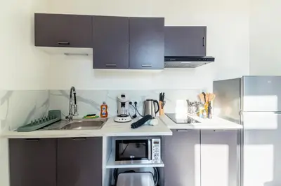 Cuisine ou kitchenette dans l'établissement Chaleureux appartement T2 au calme et climatisé proximite centre lyon