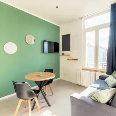 Chaleureux appartement T2 au calme et climatisé proximite centre lyon
