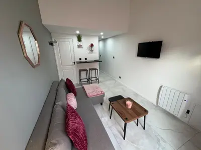 Télévision ou salle de divertissement dans l'établissement Petit Boudoir Lyonnais neuf terrasse climatisé