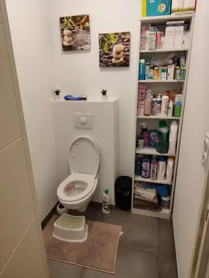 Salle de bains dans l'établissement Chambre cosy à Villeurbanne