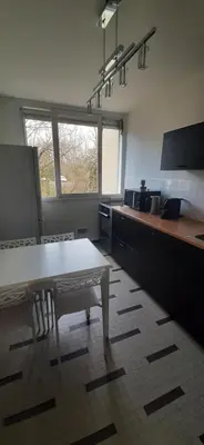 Cuisine ou kitchenette dans l'établissement Vallée de la Saône T3