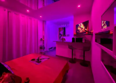 Télévision ou salle de divertissement dans l'établissement Maison de Monplaisir Love Room - Lyon