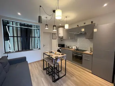Cuisine ou kitchenette dans l'établissement T2 Modern and Cosy in St Étienne
