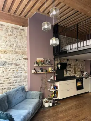 Cuisine ou kitchenette dans l'établissement Appartement de canut