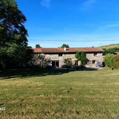 Les coqs de Mirebois