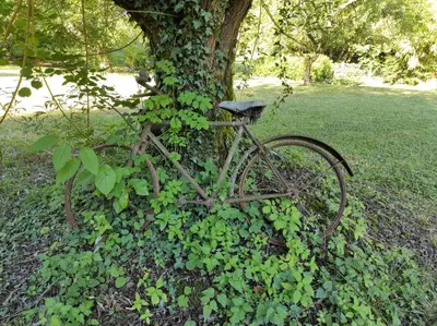 Vélo sur le terrain de l'établissement Maison Lili Paradis ou dans les environs