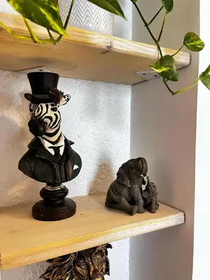Plan de l'établissement Studio Duplex le Jungle - Bourgoin Centre
