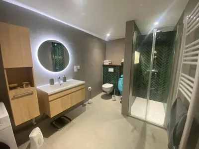 Salle de bains dans l'établissement T3 des écorchats