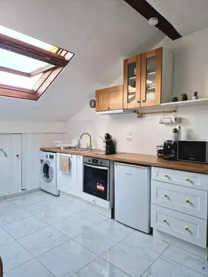 Cuisine ou kitchenette dans l'établissement Chez Denise Studio Cosy Lyon