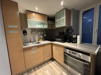 Cuisine ou kitchenette dans l'établissement Tiny house 3 terrasse-parking Groupama Stadium LDLCArena