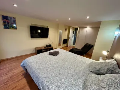 Télévision ou salle de divertissement dans l'établissement Appartement 2 chambres - proche Métro à 10min de Bellecour