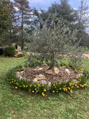 Jardin de l'établissement Studio proche de la cité médiévale Crémieu