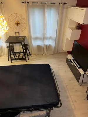 Télévision ou salle de divertissement dans l'établissement Charmant appartement de 46 m2 au cœur de Décines