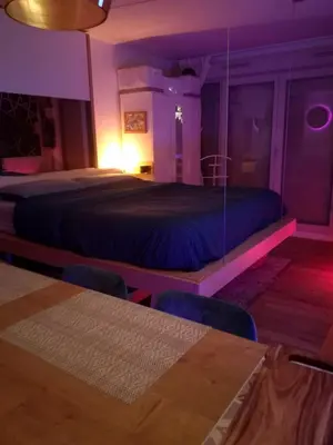 Un ou plusieurs lits dans un hébergement de l'établissement Appartement cosy proche Centre des congrès et Transbordeur