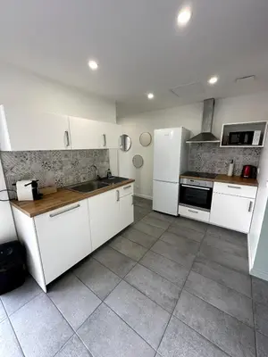 Cuisine ou kitchenette dans l'établissement Appartement L'escale à Vienne