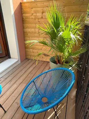 Plan de l'établissement Studio le Lagoon - Bourgoin Centre