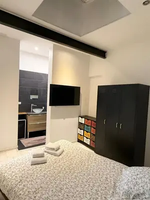 Télévision ou salle de divertissement dans l'établissement Le Loft d 'Éveux - 2 places de parking