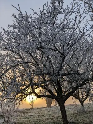 Paysage naturel près de la maison de vacances