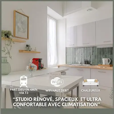 Le Dauphiné studio climatisé