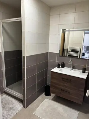 Salle de bains dans l'établissement Charmant appartement 2 chambres