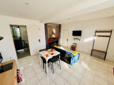 Télévision ou salle de divertissement dans l'établissement Le Maréchal Chic - Centre ville - Rive de Gier