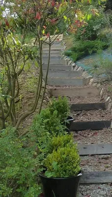 Jardin de l'établissement Lyon Campagne