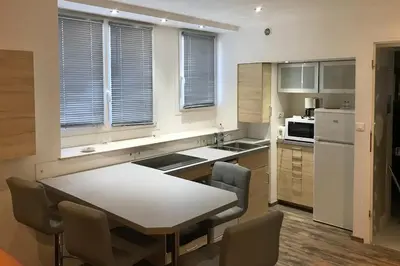 Cuisine ou kitchenette dans l'établissement Studio entièrement équipé au coeur du centre ville
