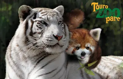 Animaux dans l'appartement ou à proximité