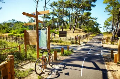 Vélo sur le terrain de l'établissement Fleurie Appartement T2 ou dans les environs