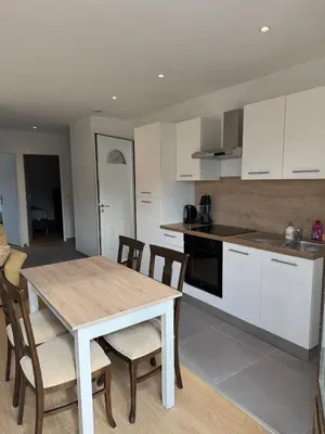 Cuisine ou kitchenette dans l'établissement Appartement T3 rénové cœur de St Priest Parking Privé