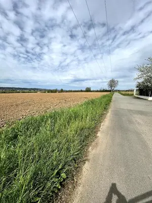 Paysage naturel près de l'appartement