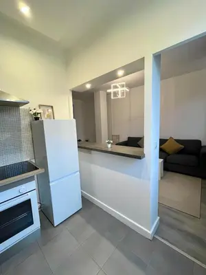 Cuisine ou kitchenette dans l'établissement Superbe T2 à 15 min de Lyon