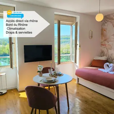 Télévision ou salle de divertissement dans l'établissement Studio L'éclat vue sur rhône, CNPE, accès direct via rhona, clim