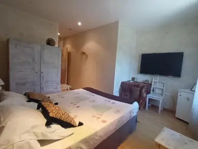 Télévision ou salle de divertissement dans l'établissement Le lion d'or