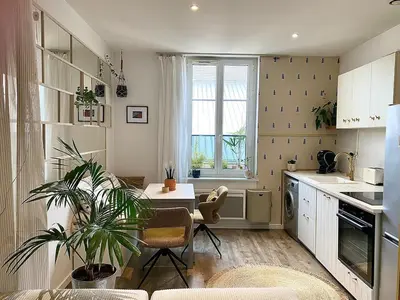 Cuisine ou kitchenette dans l'établissement Appartement entier Lyon Sans-souci & Monplaisir
