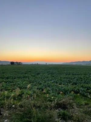 Paysage naturel près de la maison de vacances