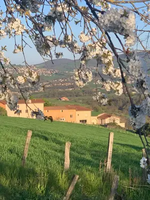 Paysage naturel près de la maison de vacances